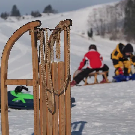Hotel Edita Scheidegg